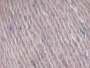 Thumbnail 23